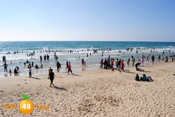 yaffa people 811 (45).JPG